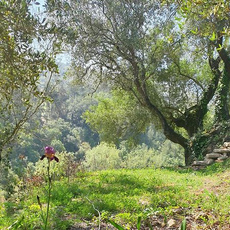 Casa Das Janelinhas - Cottage Near Sintra, Mafra, Ericeira Zewnętrze zdjęcie
