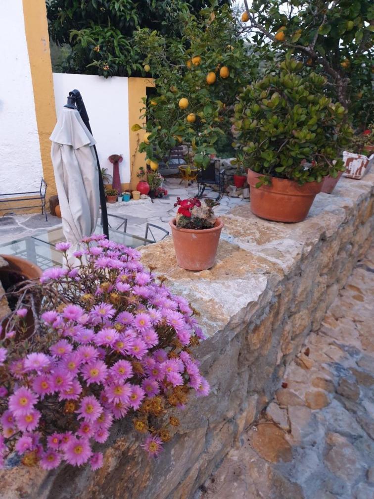 Casa Das Janelinhas - Cottage Near Sintra, Mafra, Ericeira Zewnętrze zdjęcie