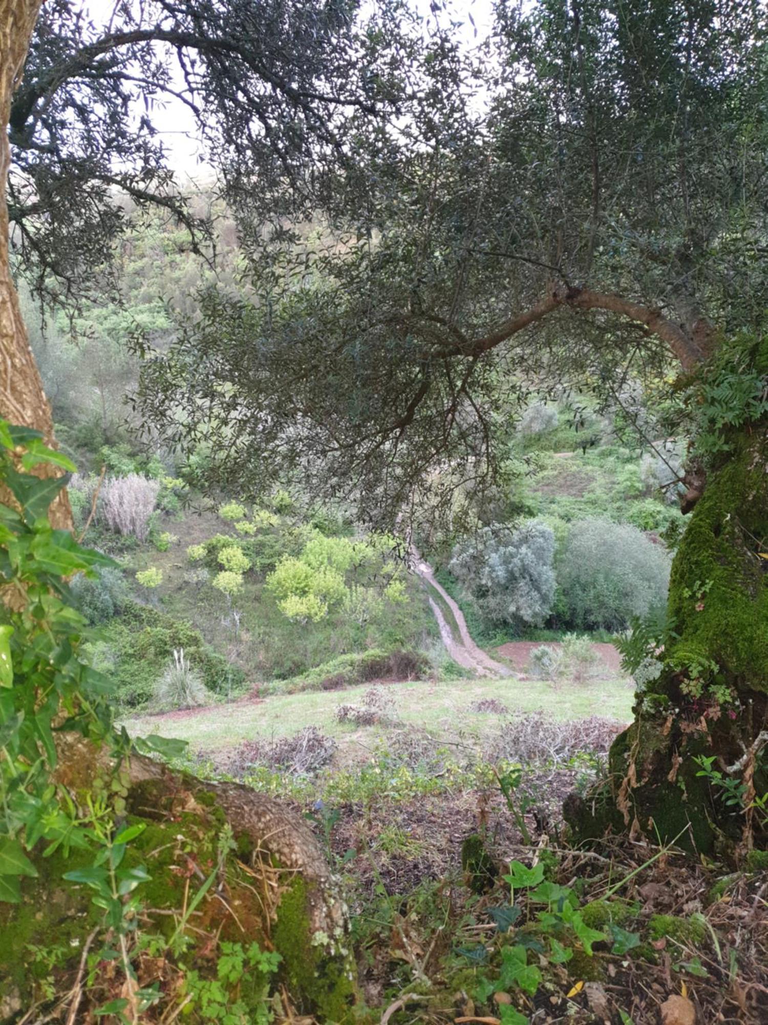 Casa Das Janelinhas - Cottage Near Sintra, Mafra, Ericeira Zewnętrze zdjęcie