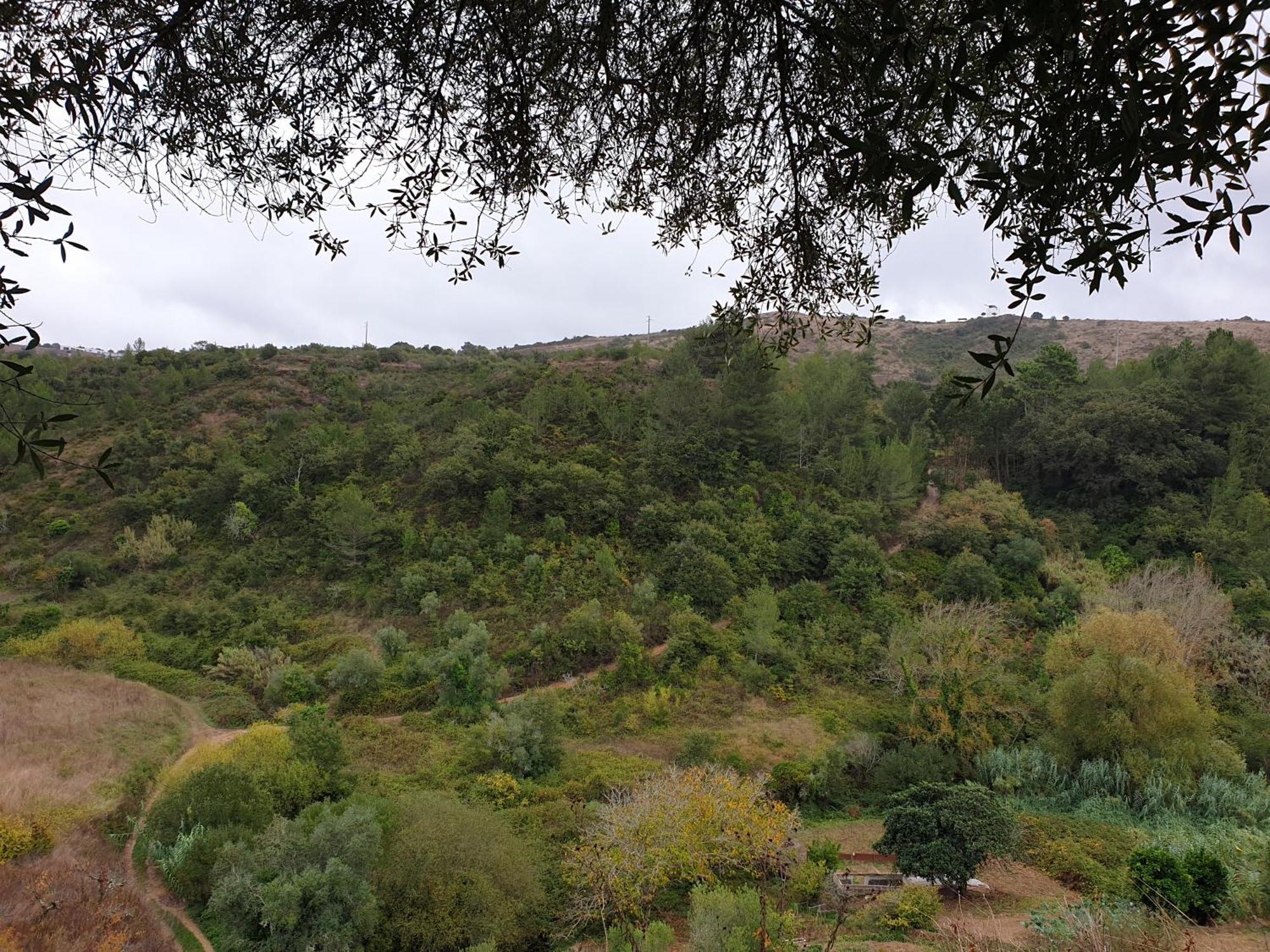 Casa Das Janelinhas - Cottage Near Sintra, Mafra, Ericeira Zewnętrze zdjęcie